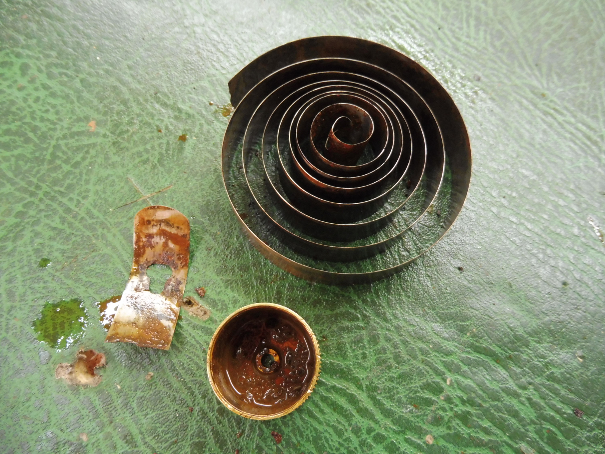 P1040038